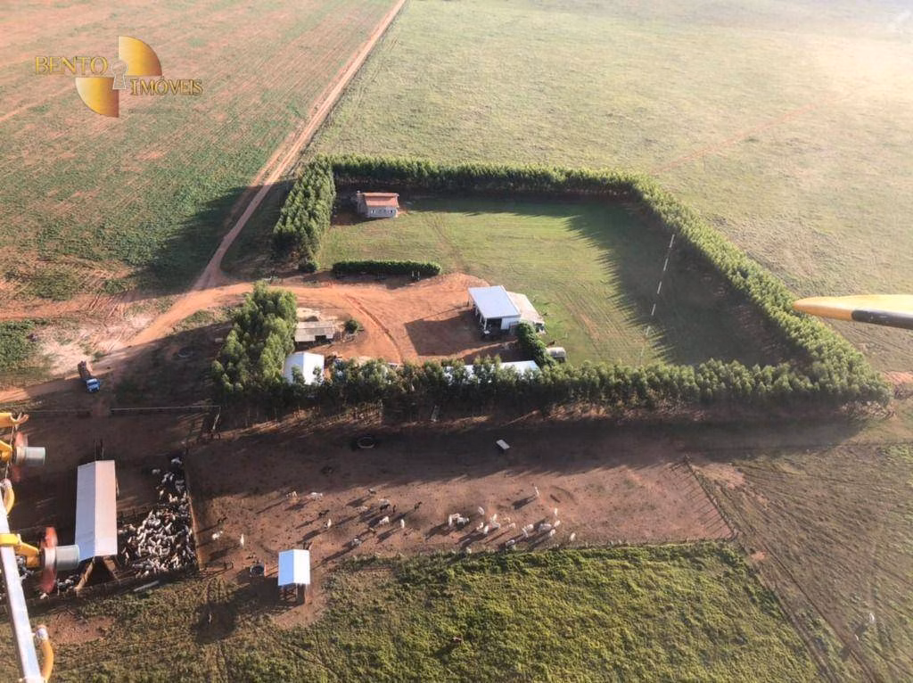 Fazenda de 3.360 ha em Tesouro, MT