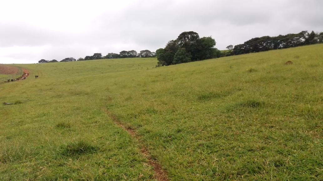 Fazenda de 178 ha em Lambari, MG