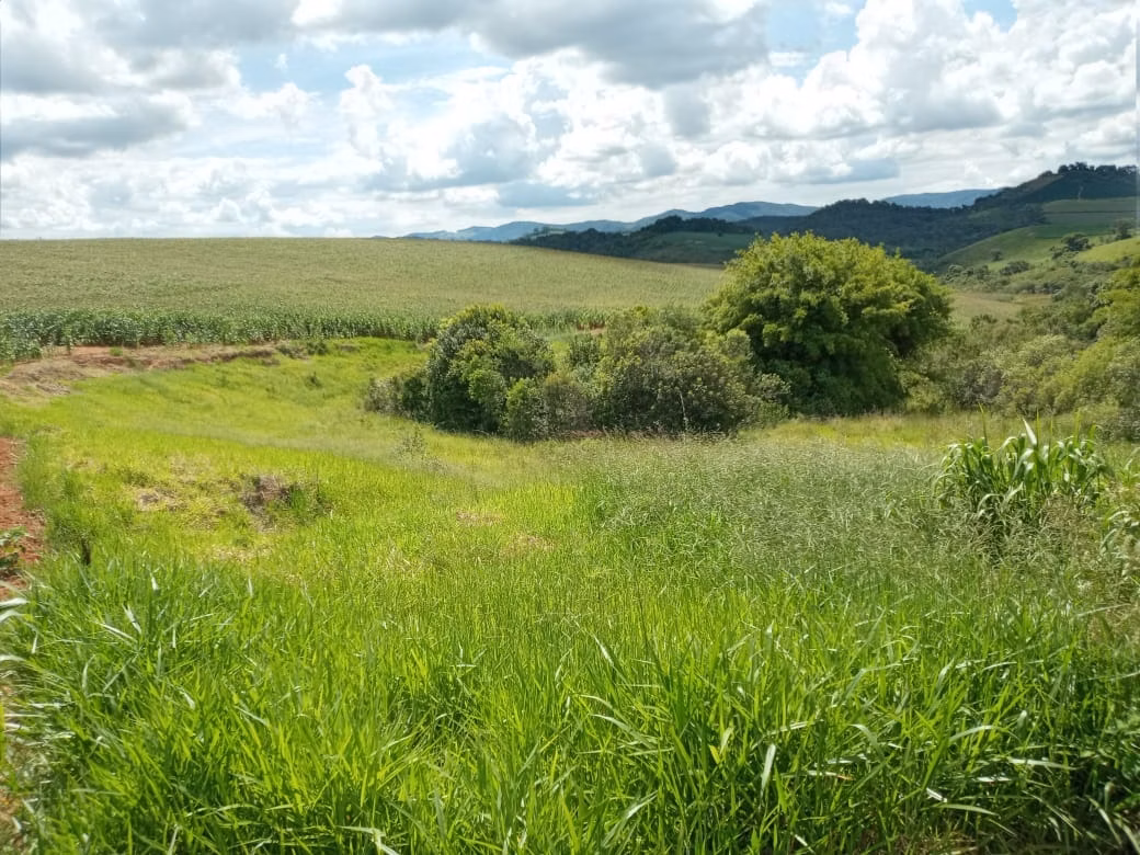 Fazenda de 178 ha em Lambari, MG
