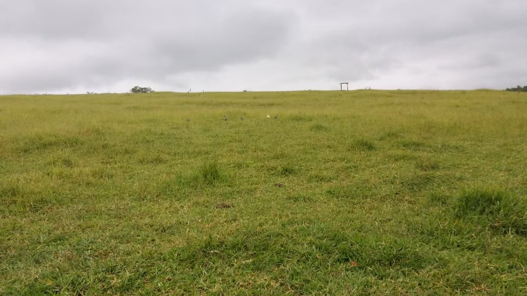 Fazenda de 178 ha em Lambari, MG