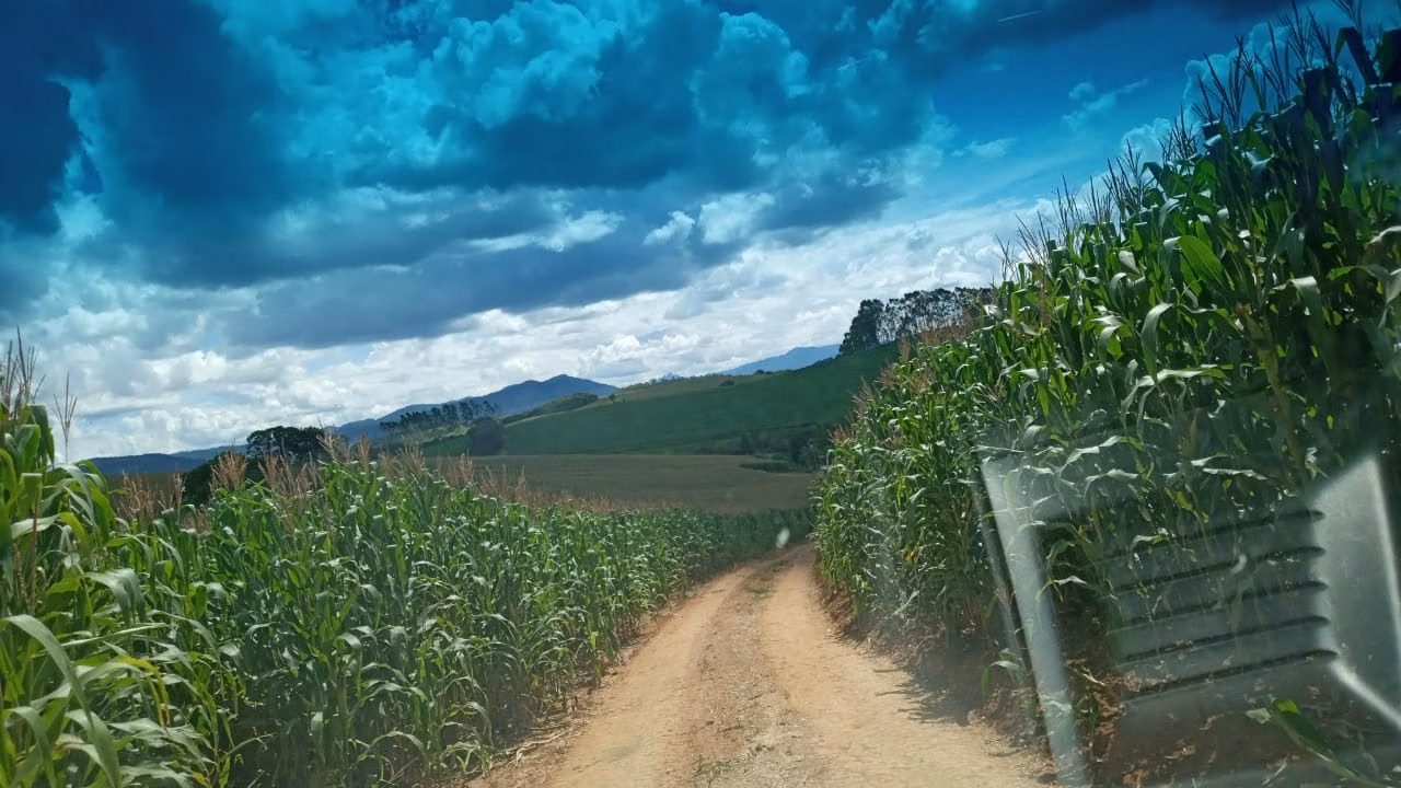 Fazenda de 178 ha em Lambari, MG