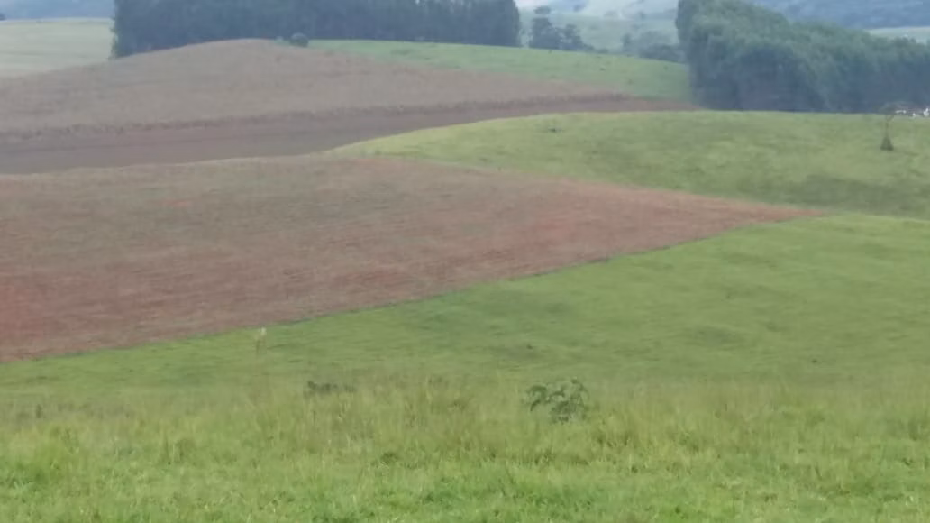 Fazenda de 178 ha em Lambari, MG