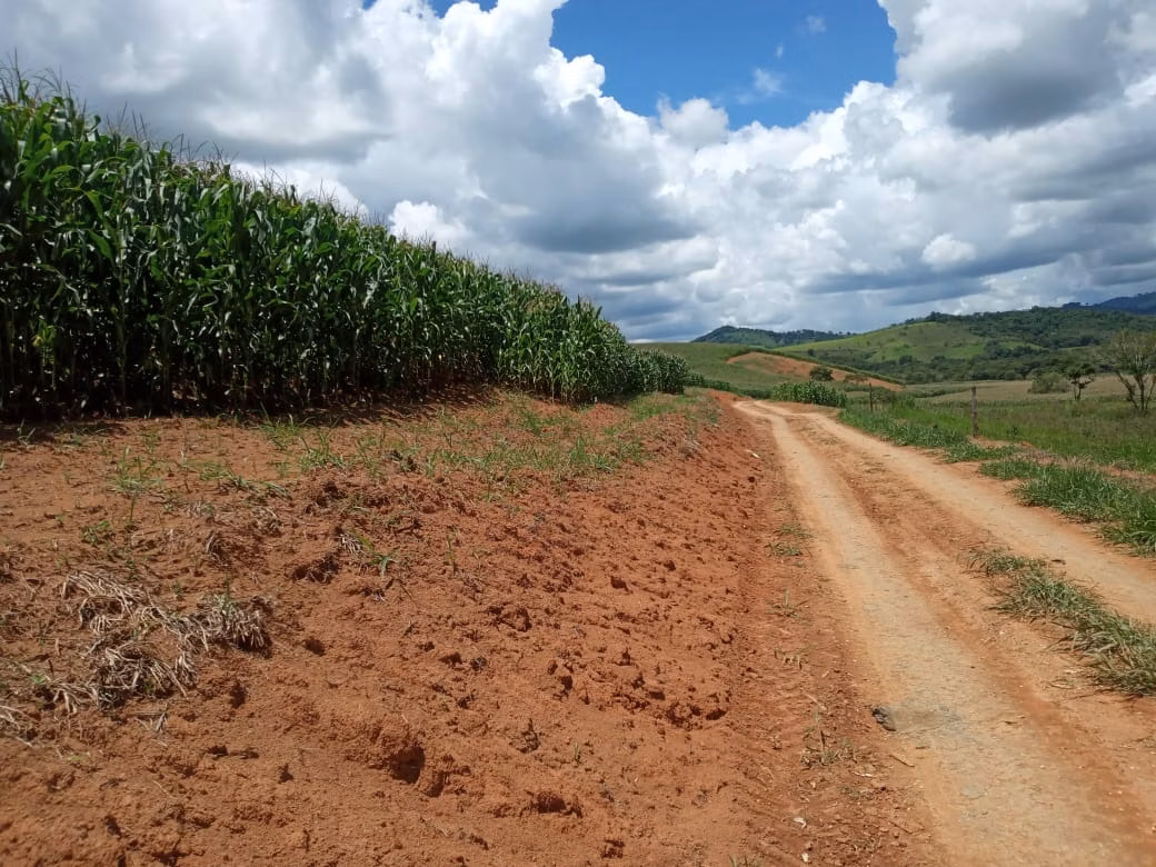 Fazenda de 178 ha em Lambari, MG