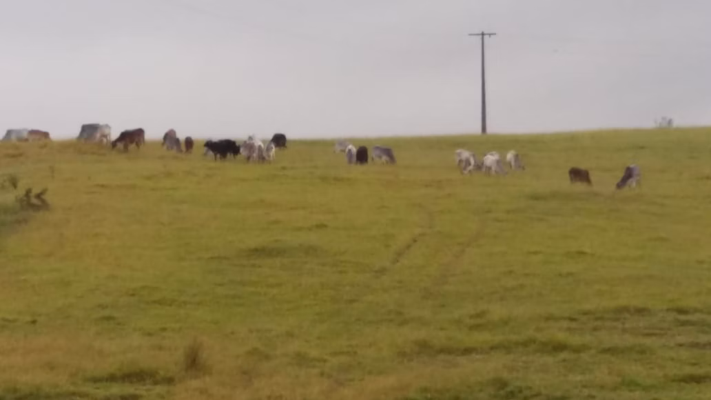 Fazenda de 178 ha em Lambari, MG