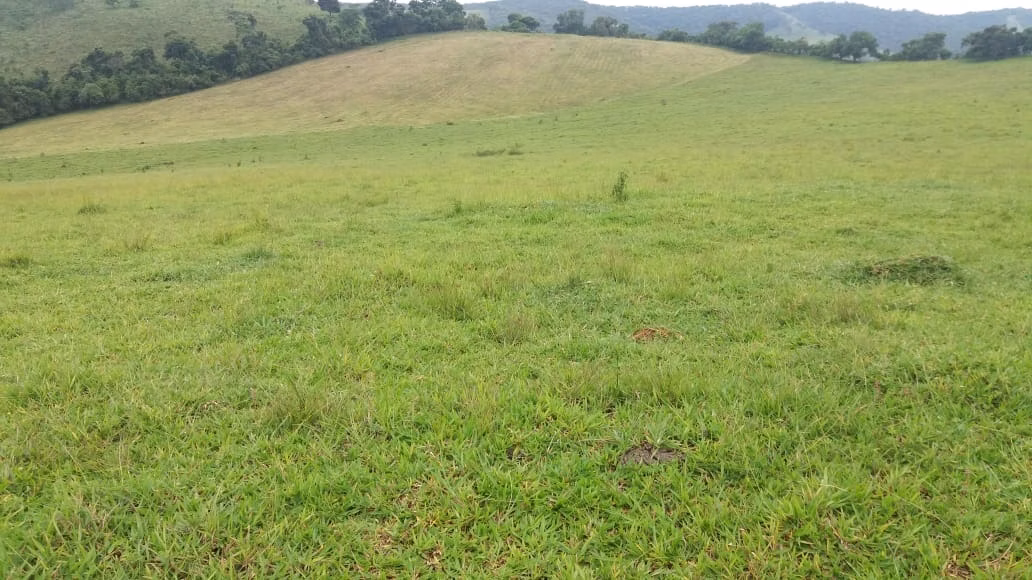 Fazenda de 178 ha em Lambari, MG