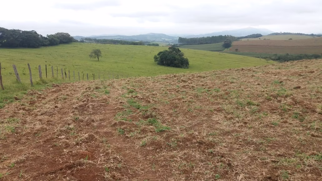Fazenda de 178 ha em Lambari, MG