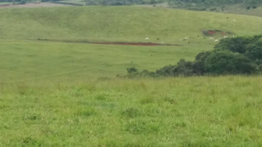 Fazenda de 178 ha em Lambari, MG