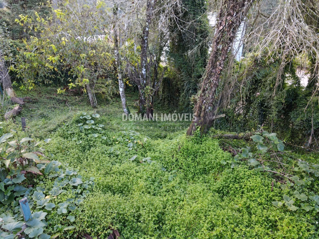 Plot of 740 m² in Campos do Jordão, SP, Brazil
