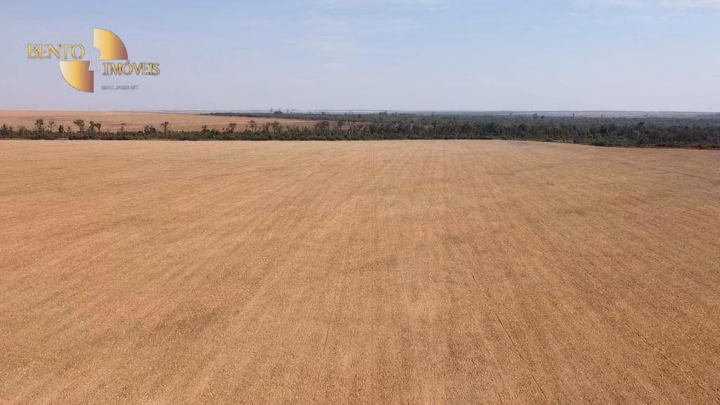 Fazenda de 2.900 ha em Feliz Natal, MT
