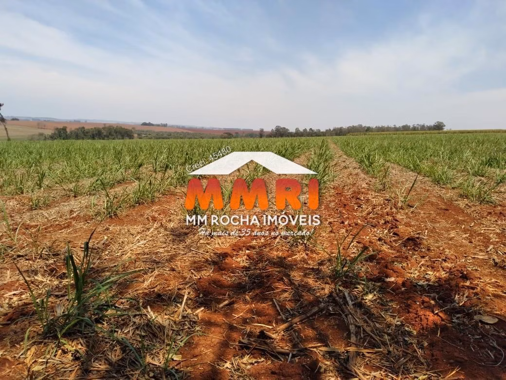 Fazenda à venda de 910 ha em Rosana, SP