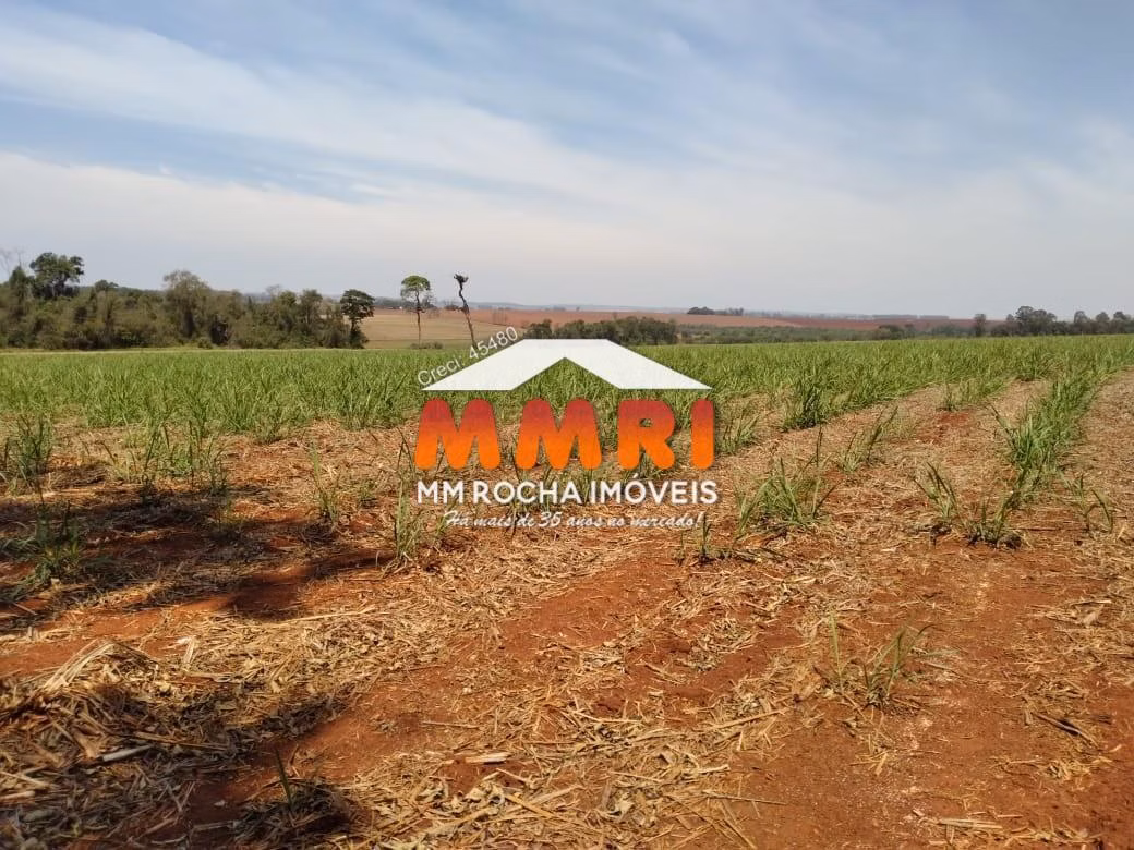 Fazenda à venda de 910 ha em Rosana, SP