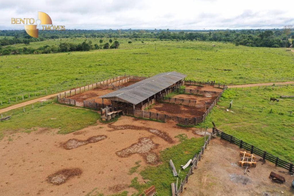 Fazenda de 7.018 ha em Aripuanã, MT