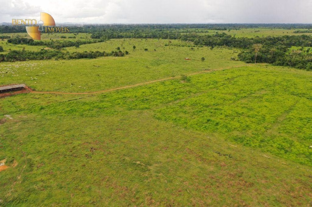 Fazenda de 7.018 ha em Aripuanã, MT