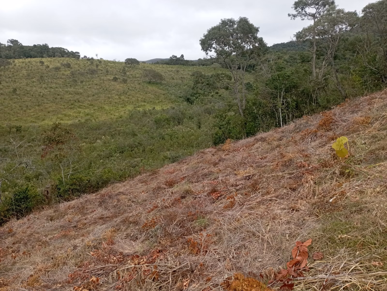 Fazenda de 98 ha em Liberdade, MG