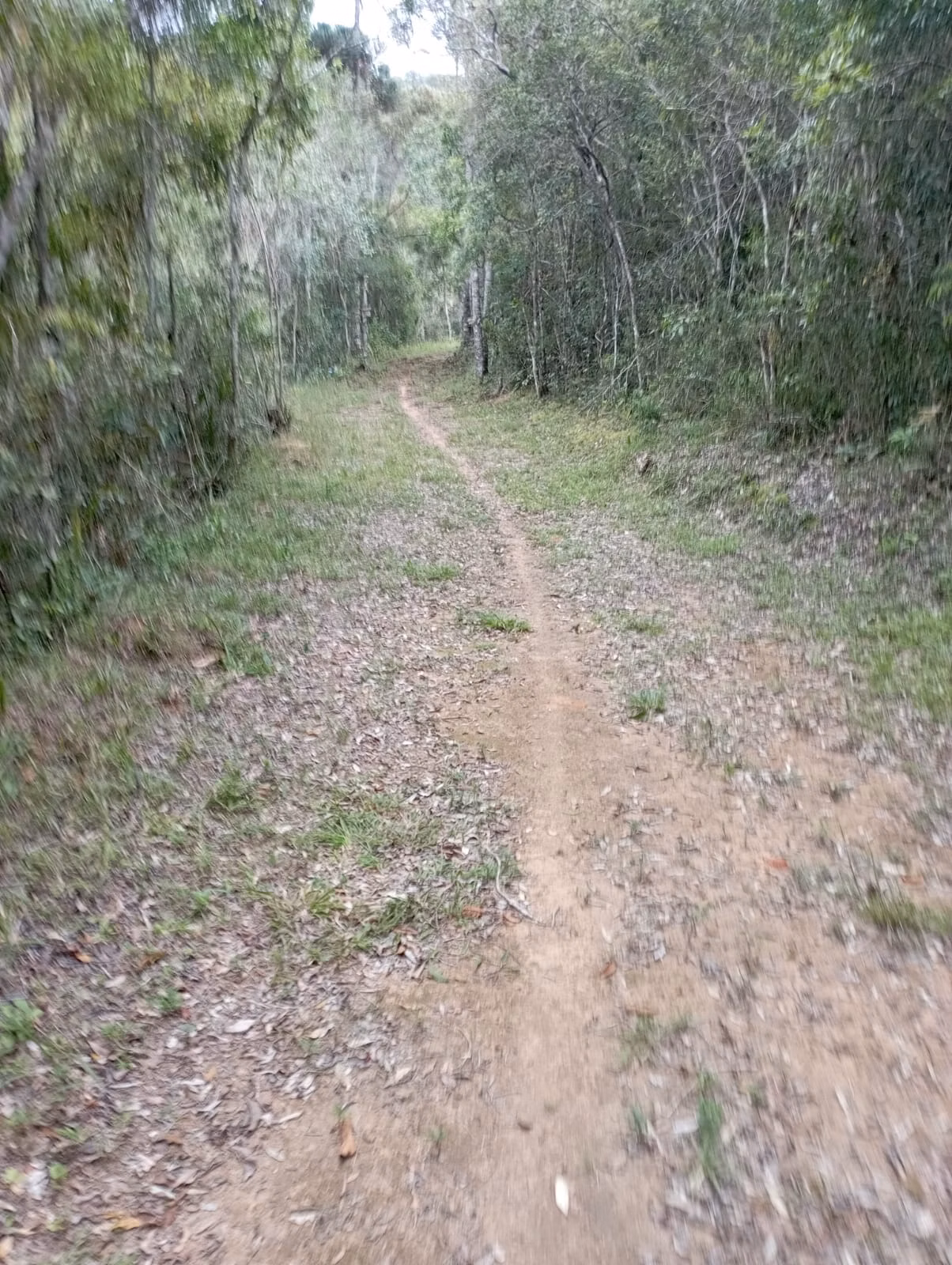 Farm of 242 acres in Liberdade, MG, Brazil