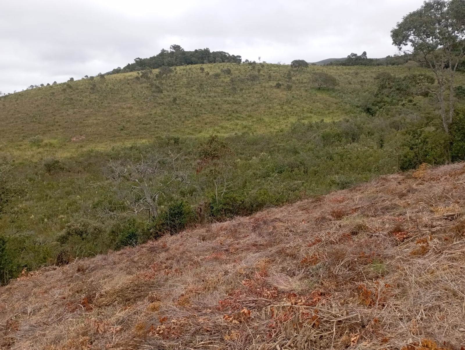 Fazenda de 98 ha em Liberdade, MG