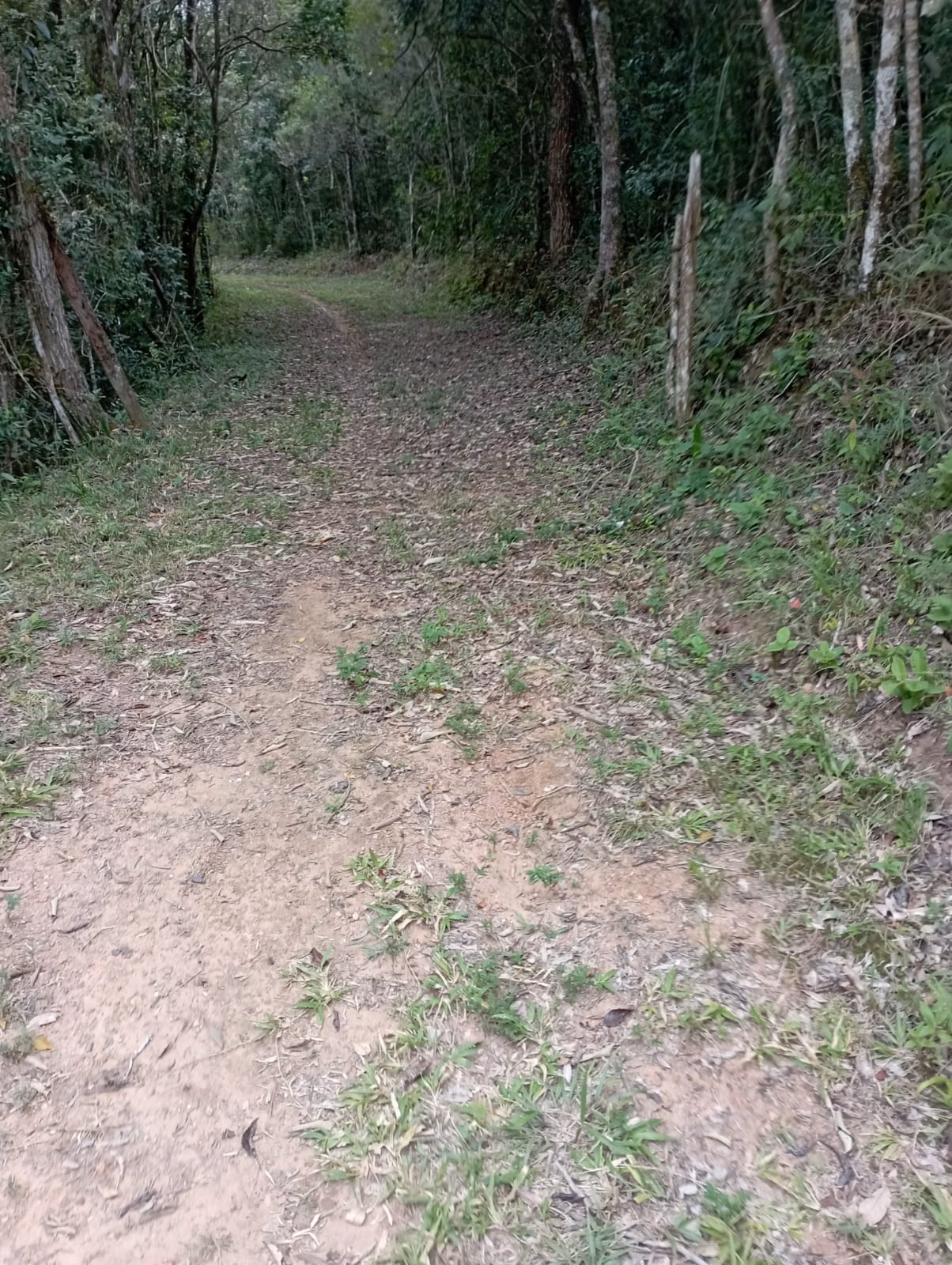 Farm of 242 acres in Liberdade, MG, Brazil