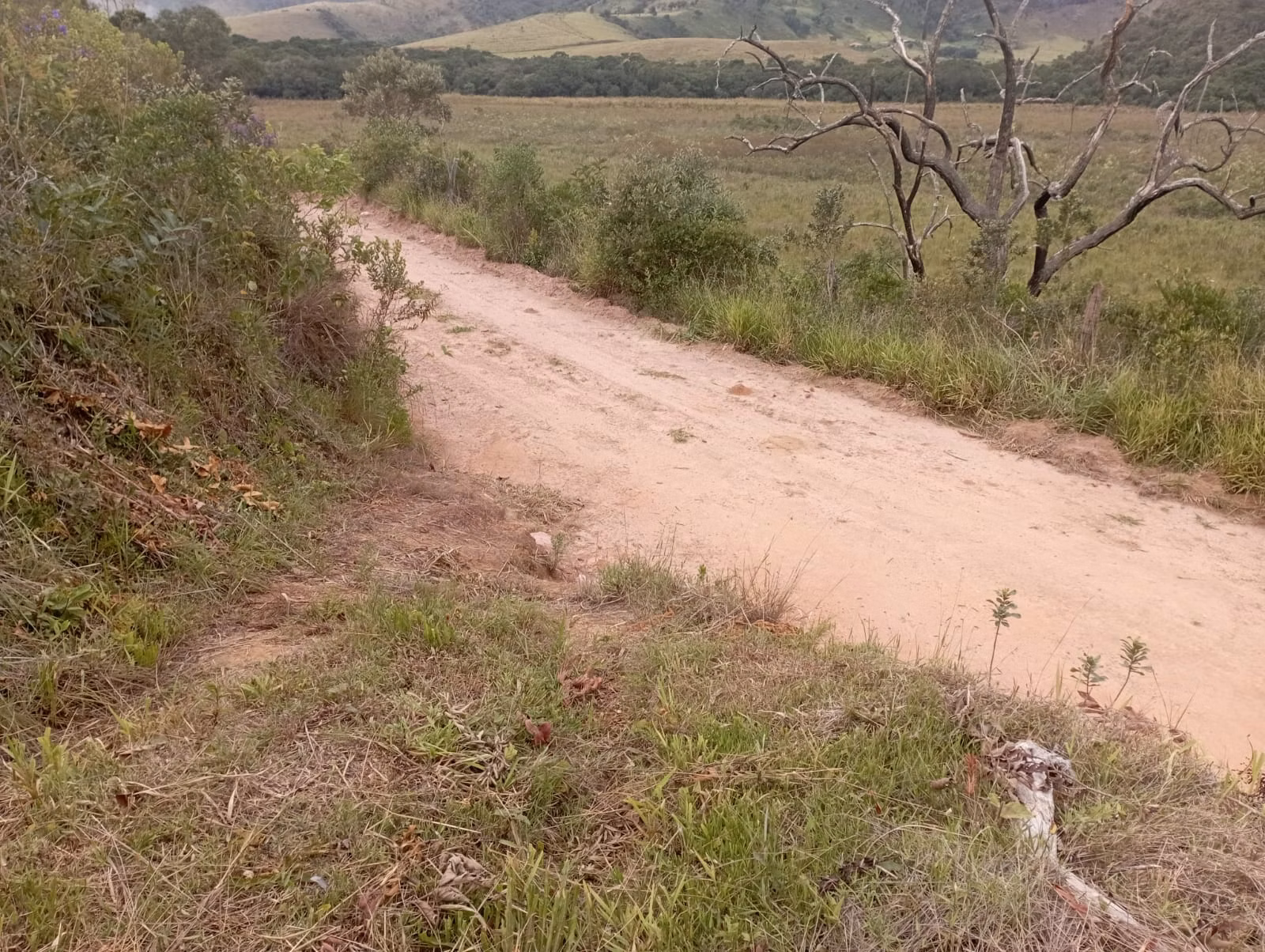 Farm of 242 acres in Liberdade, MG, Brazil