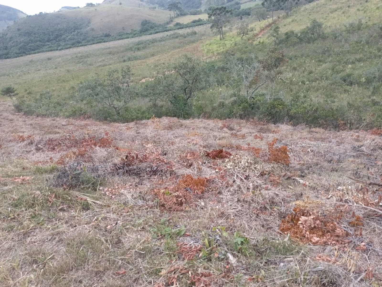 Fazenda de 98 ha em Liberdade, MG