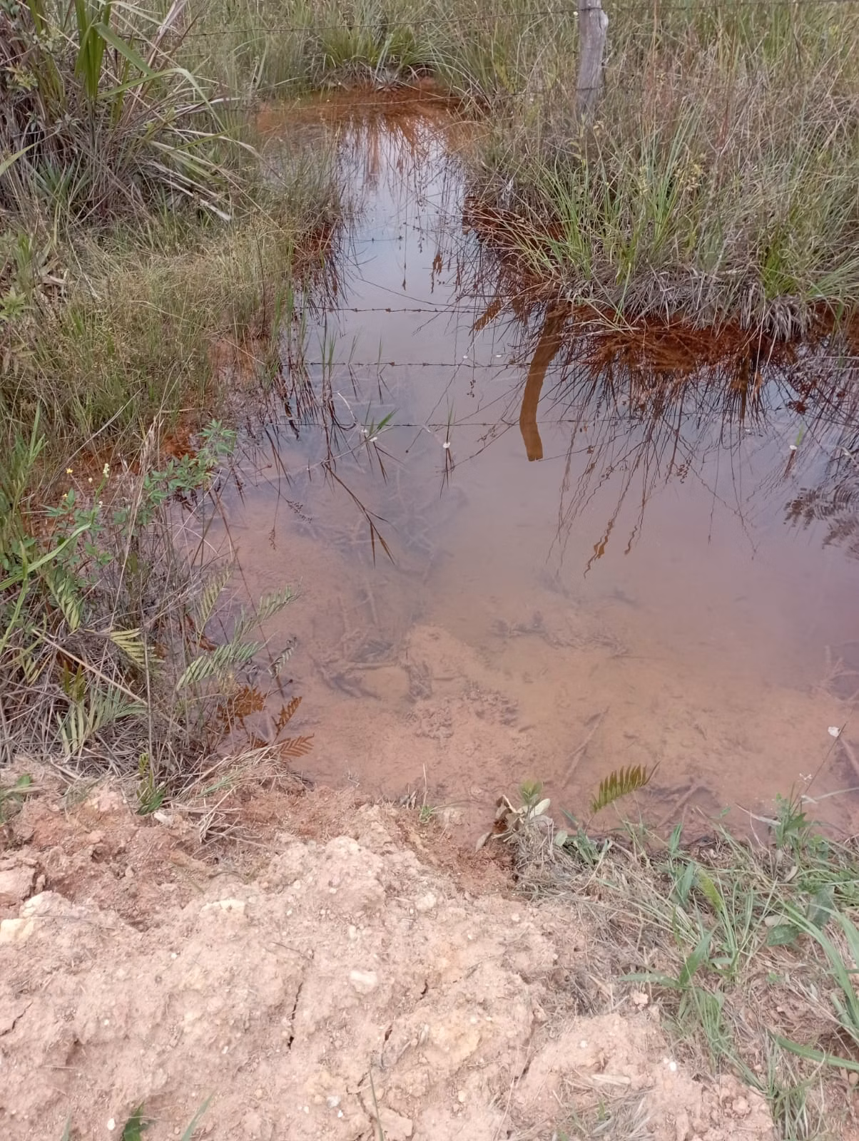 Fazenda de 98 ha em Liberdade, MG