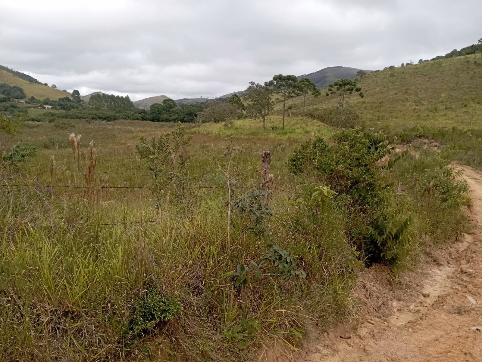 Fazenda de 98 ha em Liberdade, MG