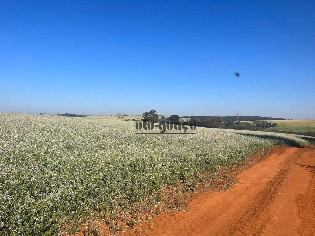 Ferme à vendre de 315 ha à Lençóis Paulista, SP