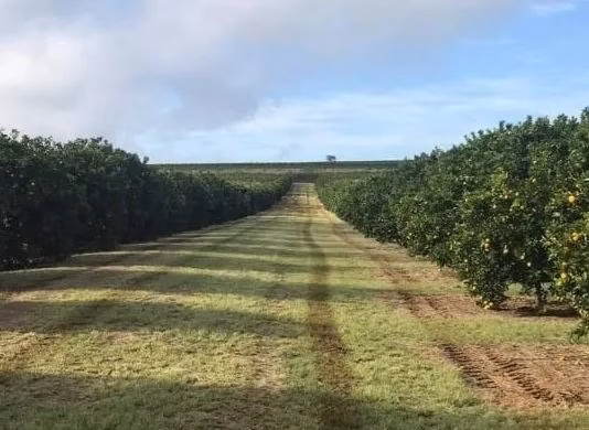 Fazenda de 968 ha em Marília, SP