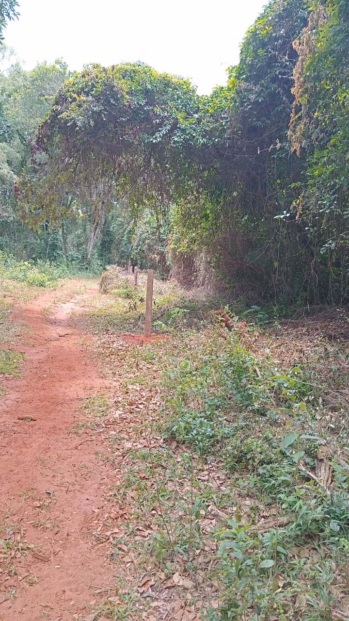 Small farm of 48 acres in Avaré, SP, Brazil