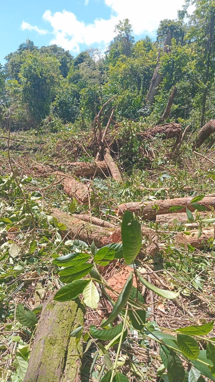 Small farm of 48 acres in Avaré, SP, Brazil