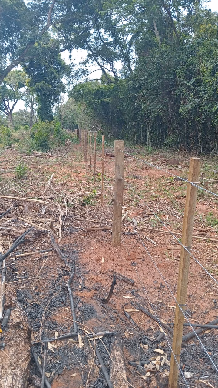 Small farm of 48 acres in Avaré, SP, Brazil