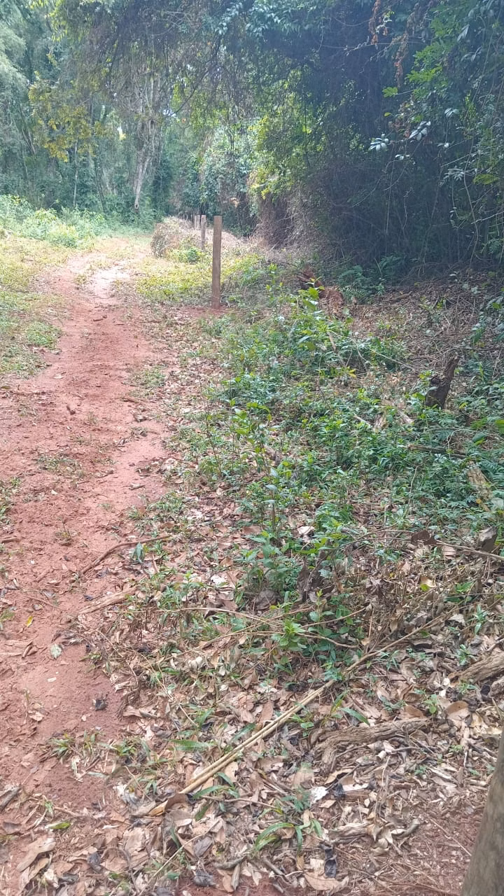 Small farm of 48 acres in Avaré, SP, Brazil
