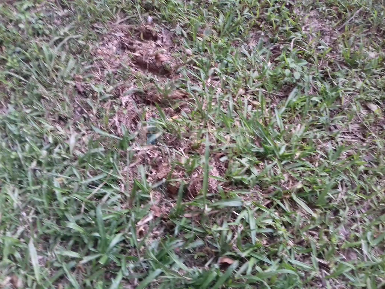 Farm of 1 acres in Botuverá, SC, Brazil