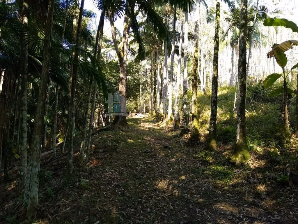 Country home of 8 acres in Camboriú, SC, Brazil