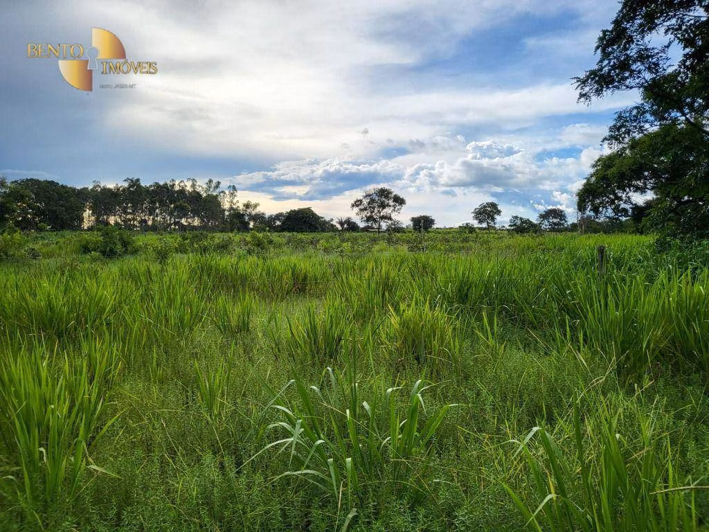 Fazenda de 213 ha em Chapada dos Guimarães, MT