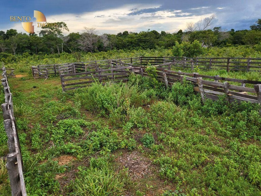 Fazenda de 213 ha em Chapada dos Guimarães, MT