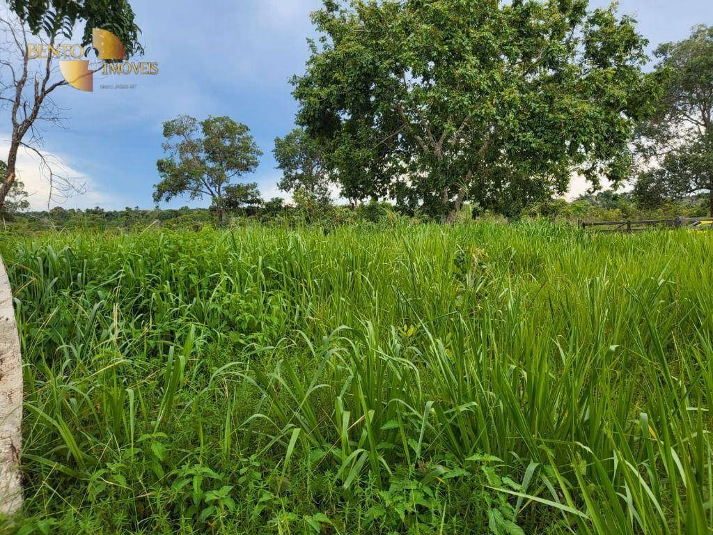 Fazenda de 213 ha em Chapada dos Guimarães, MT