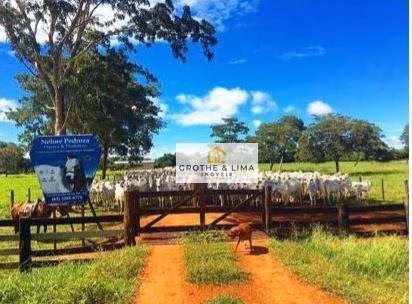 Fazenda de 1.162 ha em Cocalinho, MT