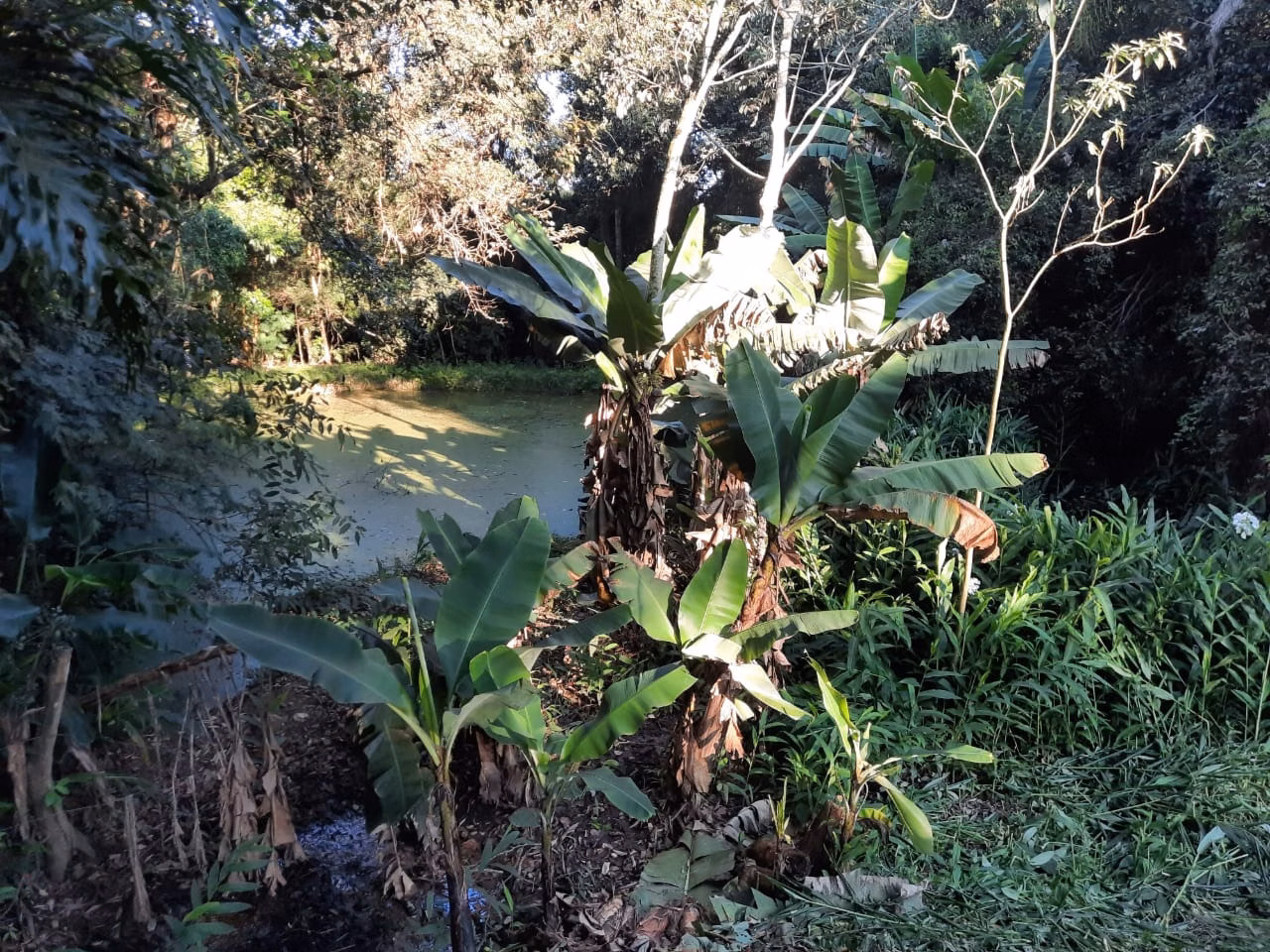 Chácara de 4 ha em Cerquilho, SP