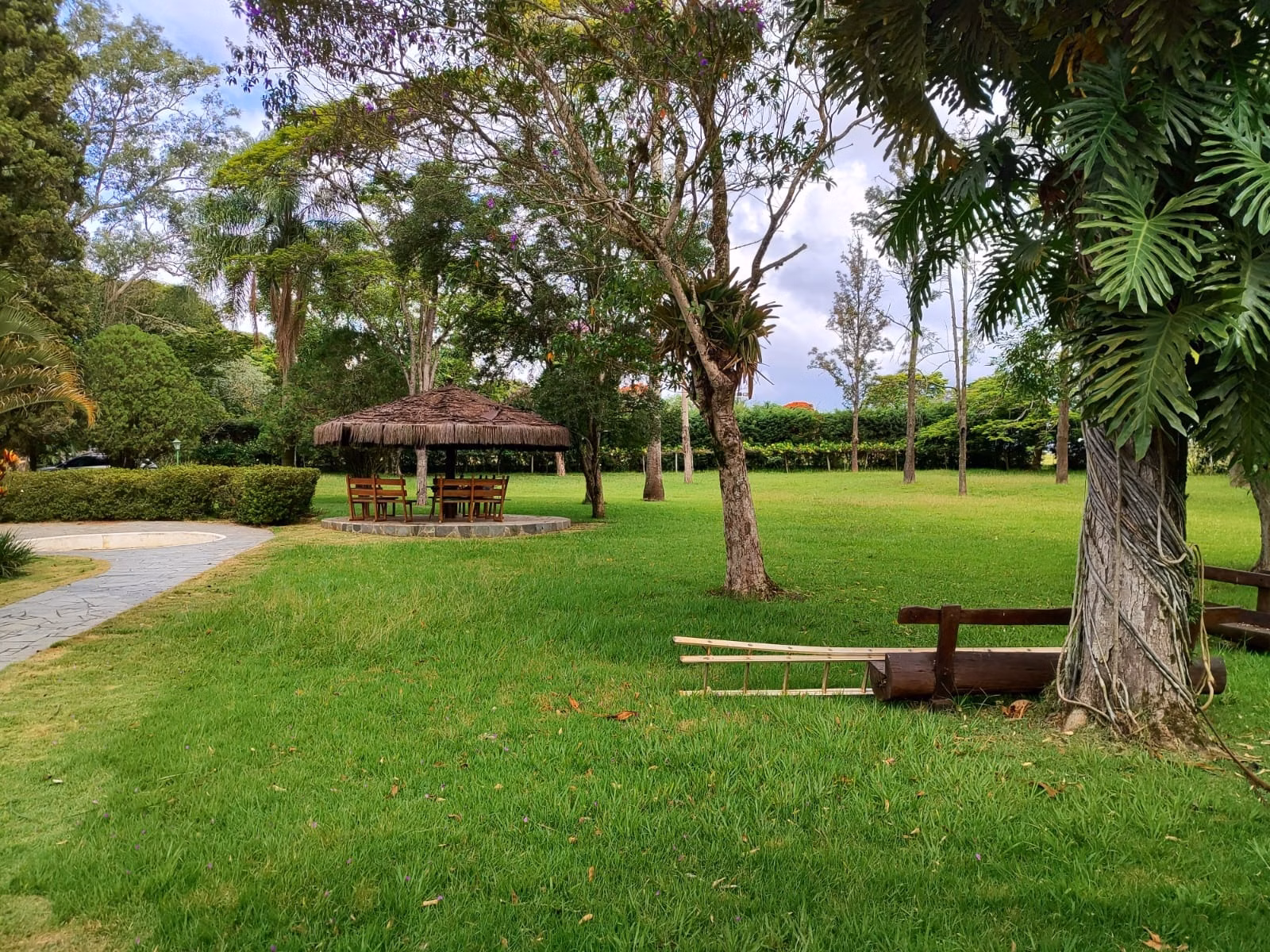 Small farm of 149 acres in Itapetininga, SP, Brazil