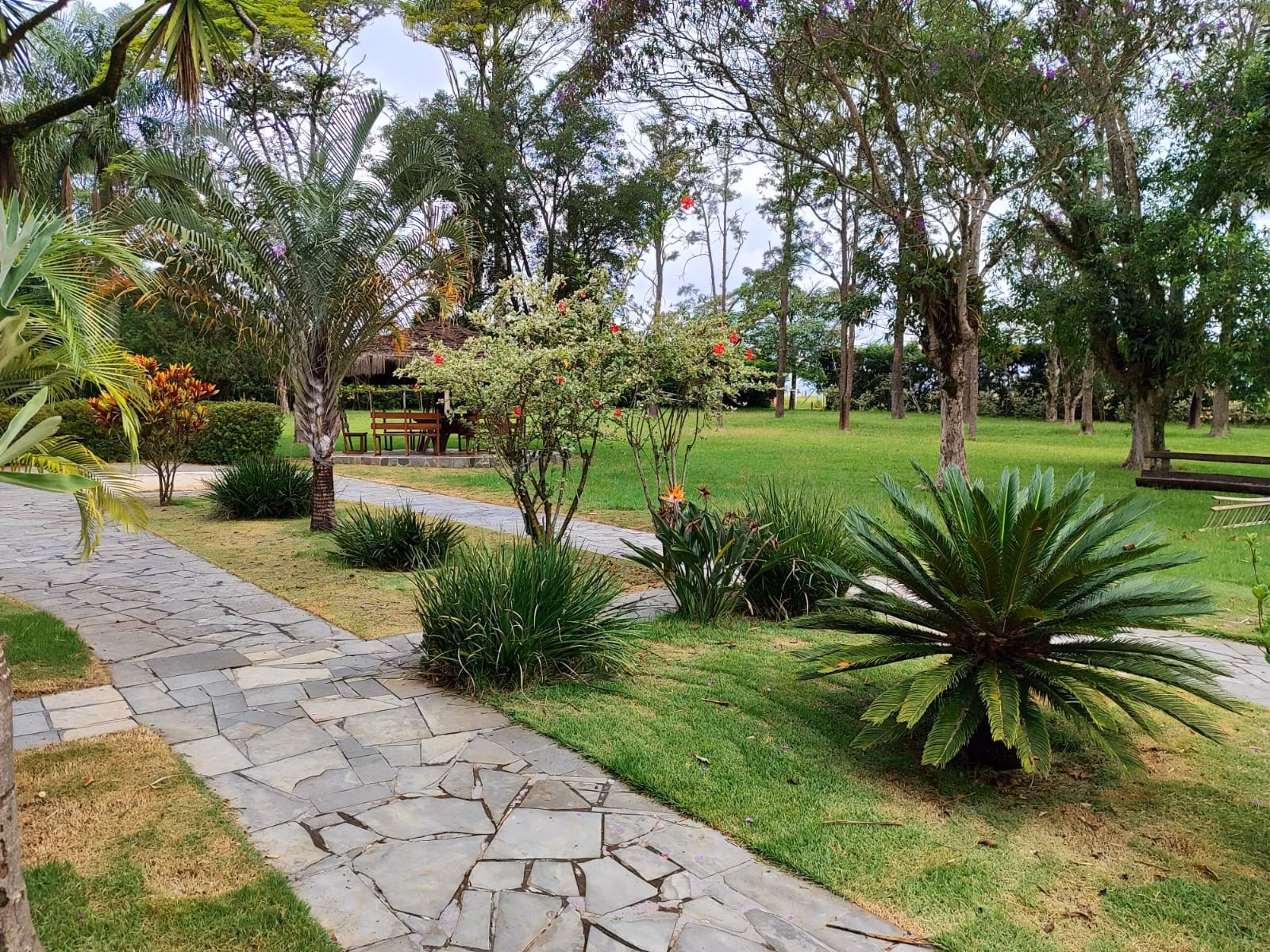 Small farm of 149 acres in Itapetininga, SP, Brazil