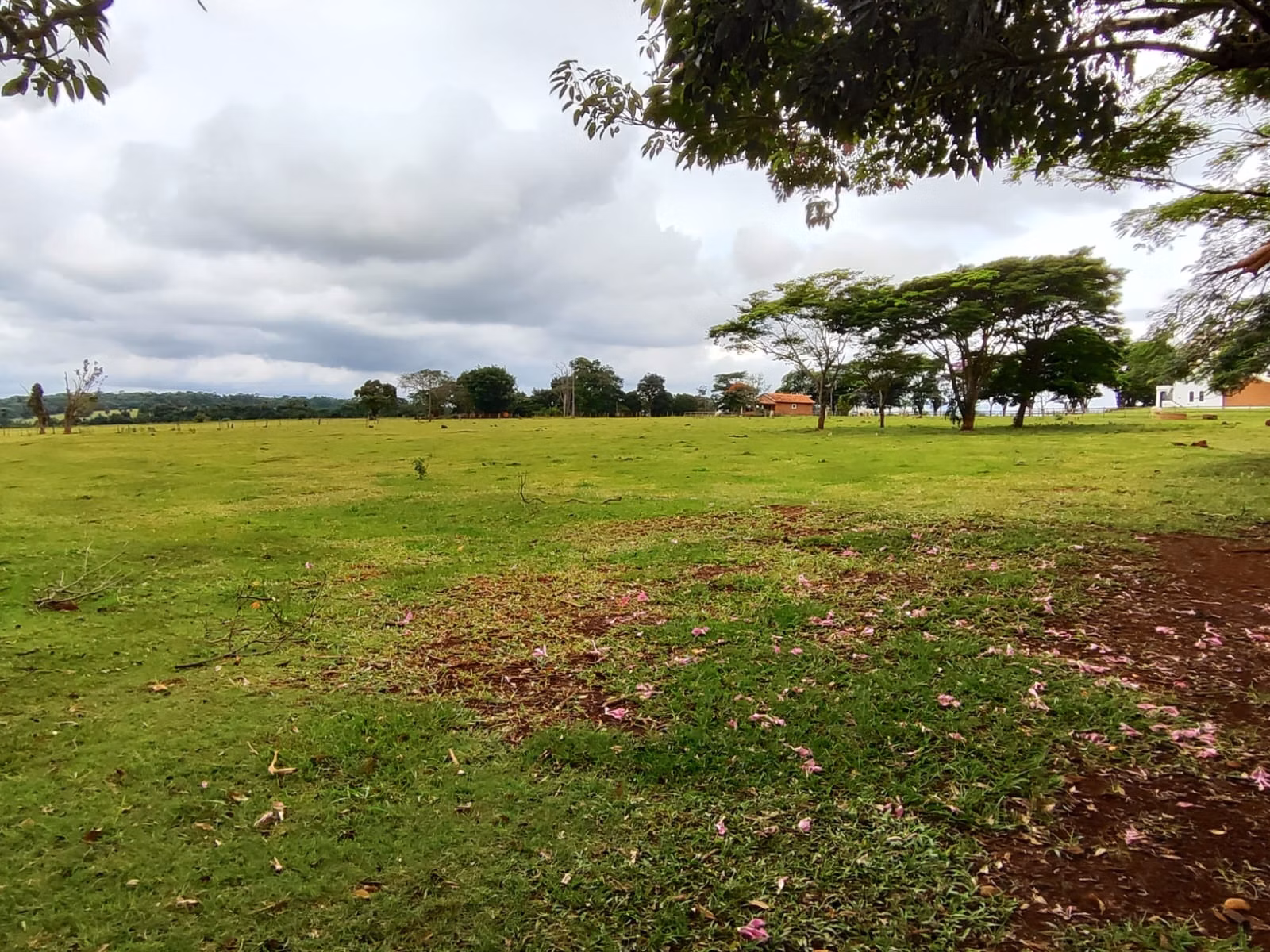 Small farm of 149 acres in Itapetininga, SP, Brazil