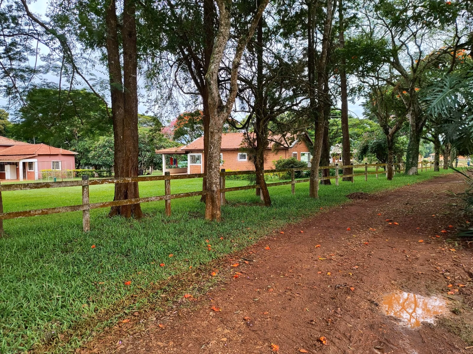 Small farm of 149 acres in Itapetininga, SP, Brazil