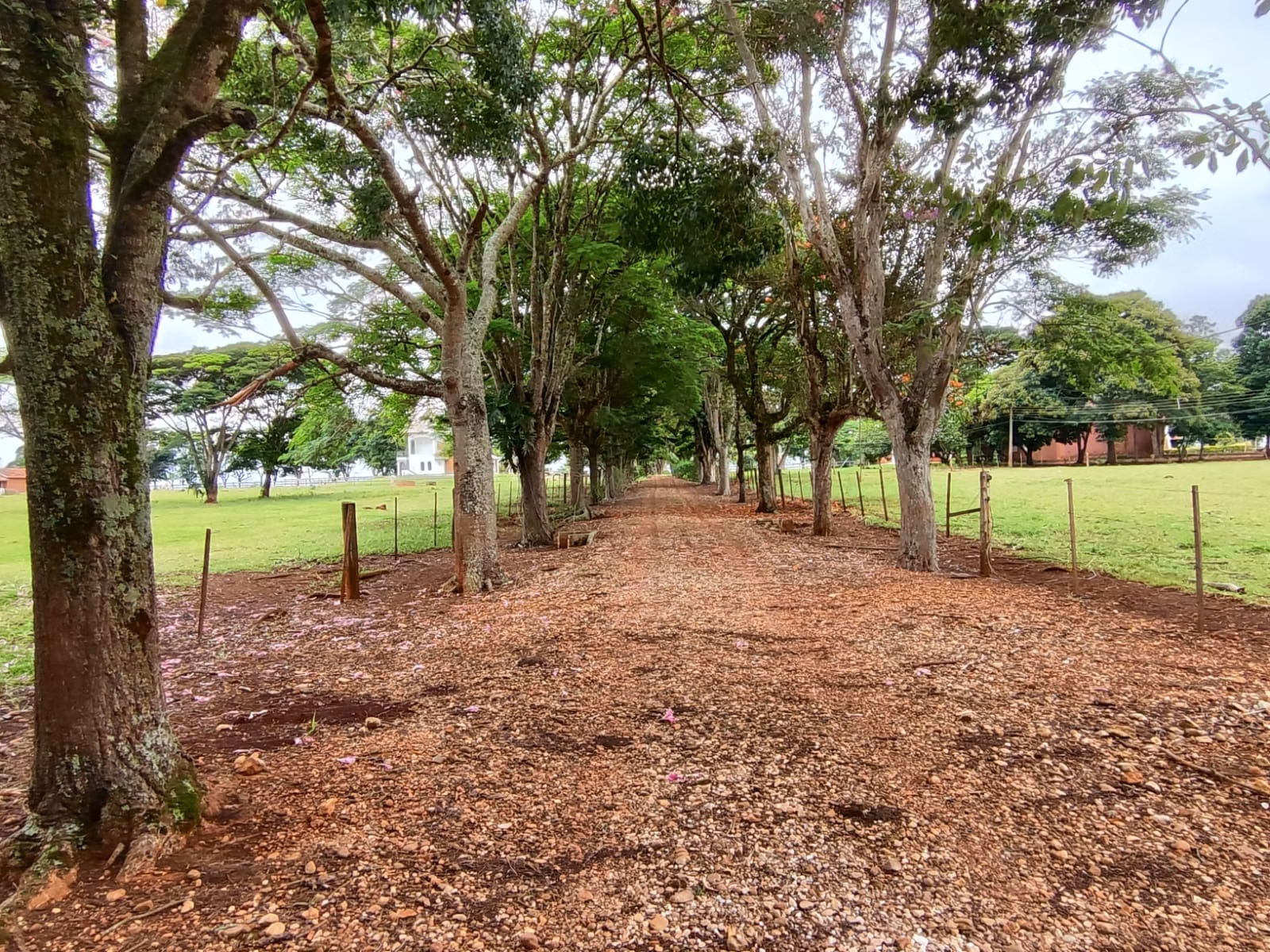 Small farm of 149 acres in Itapetininga, SP, Brazil