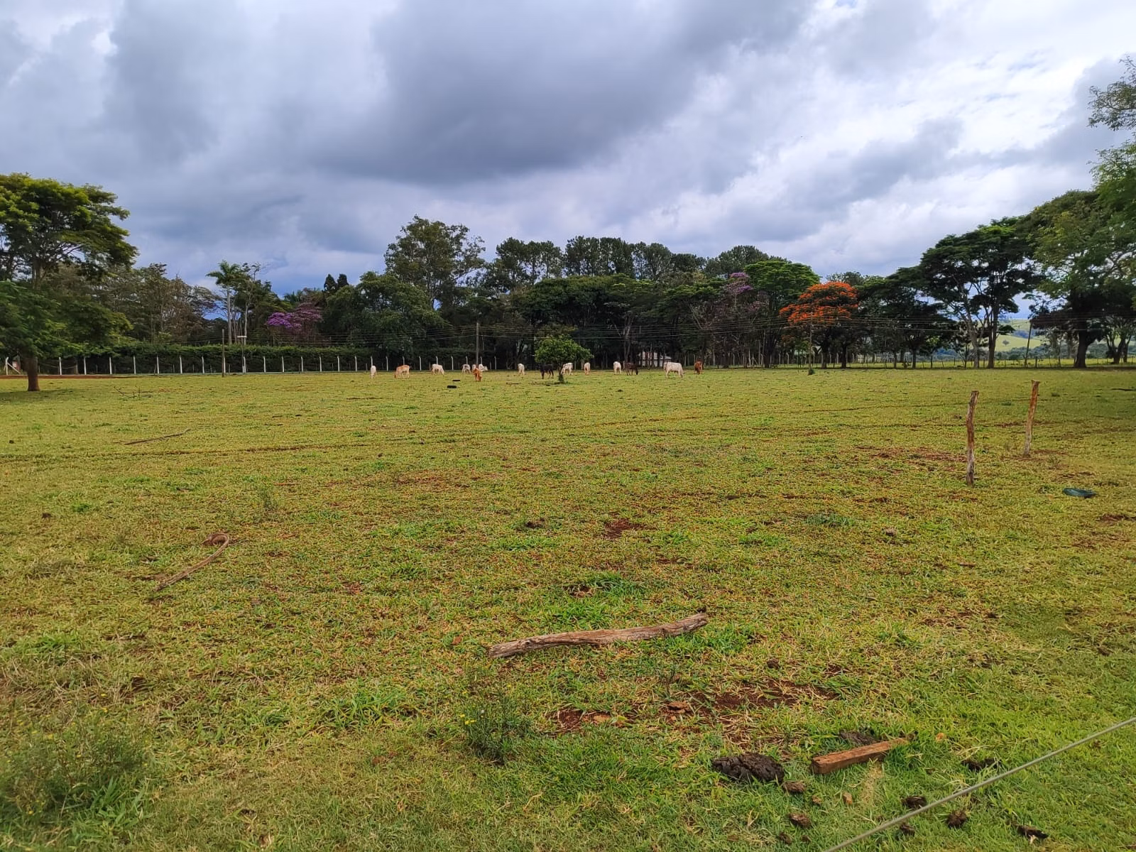 Small farm of 149 acres in Itapetininga, SP, Brazil