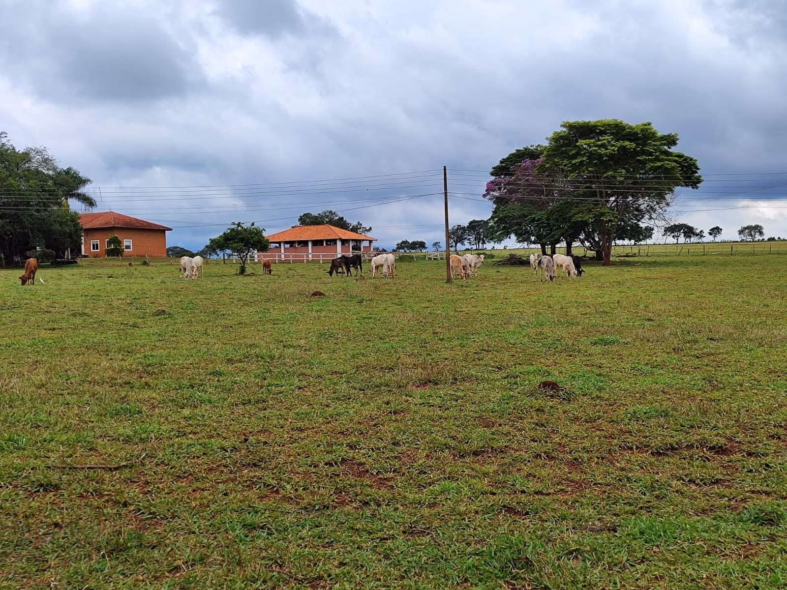 Small farm of 149 acres in Itapetininga, SP, Brazil