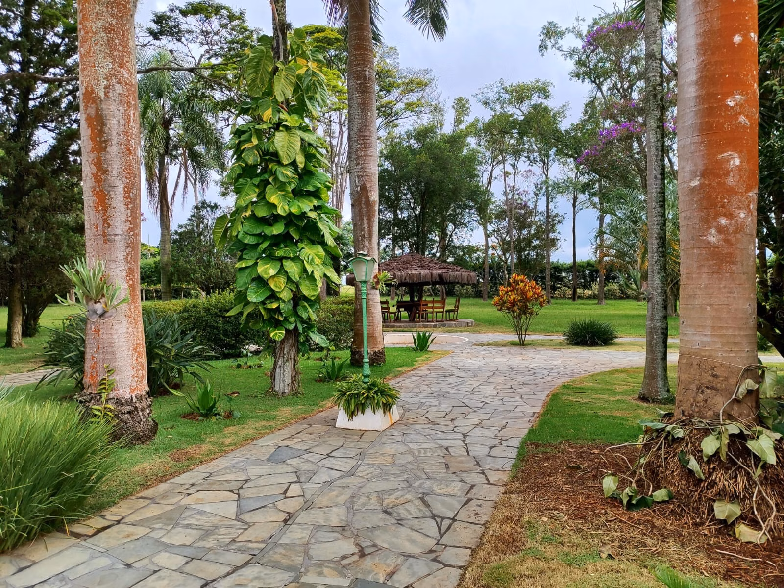 Small farm of 149 acres in Itapetininga, SP, Brazil