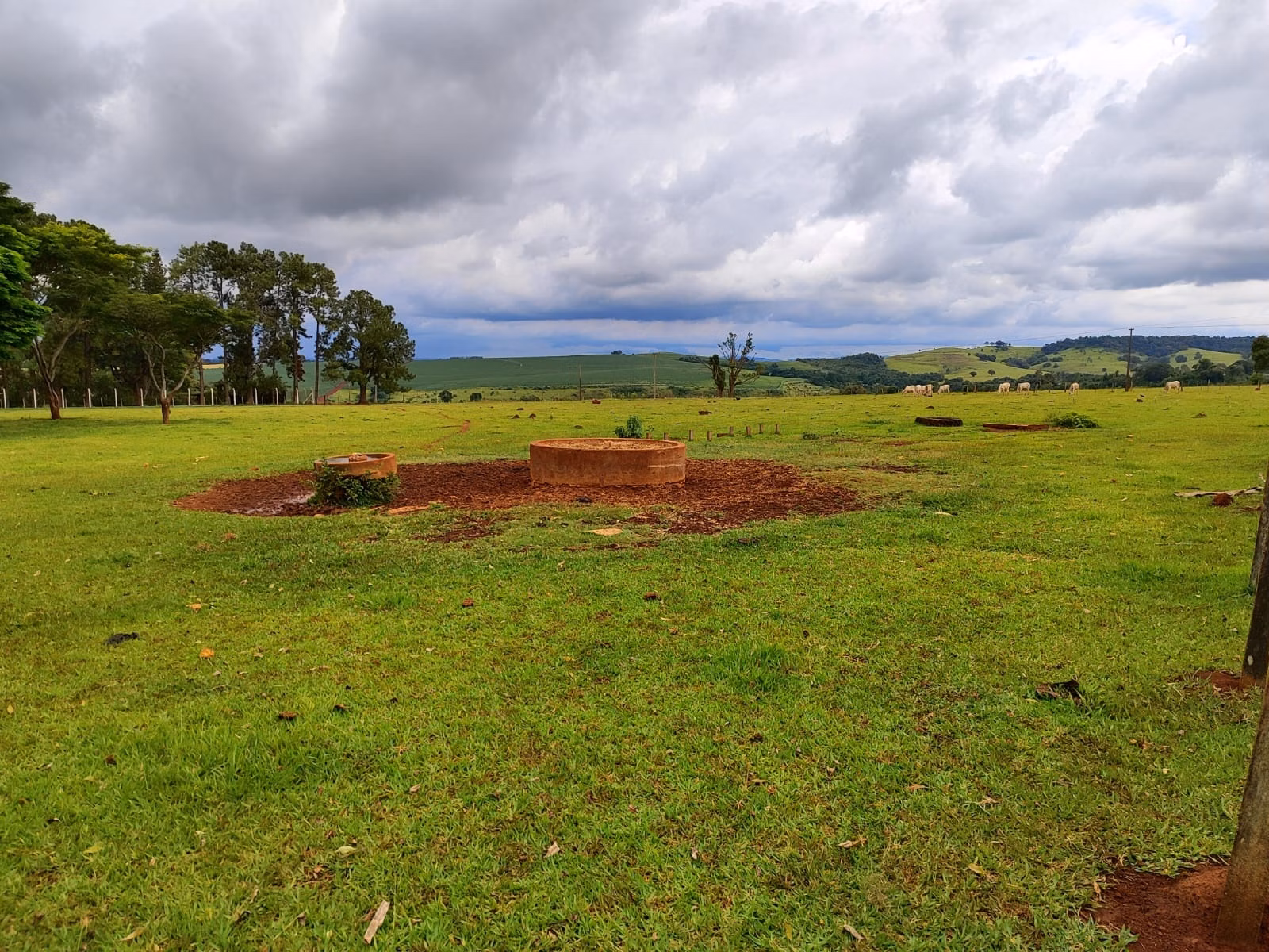 Small farm of 149 acres in Itapetininga, SP, Brazil