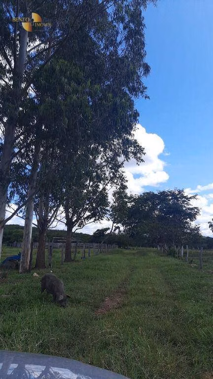Fazenda de 976 ha em Chapada dos Guimarães, MT