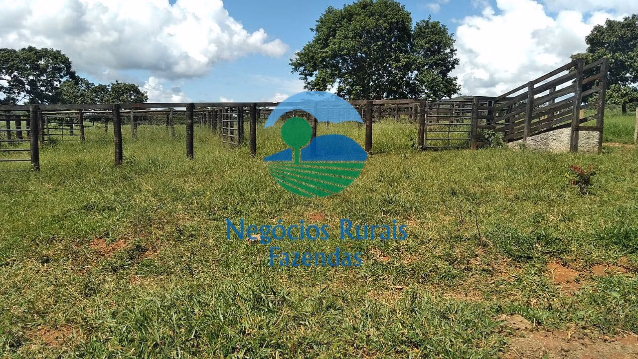 Small farm of 131 acres in Pirenópolis, GO, Brazil