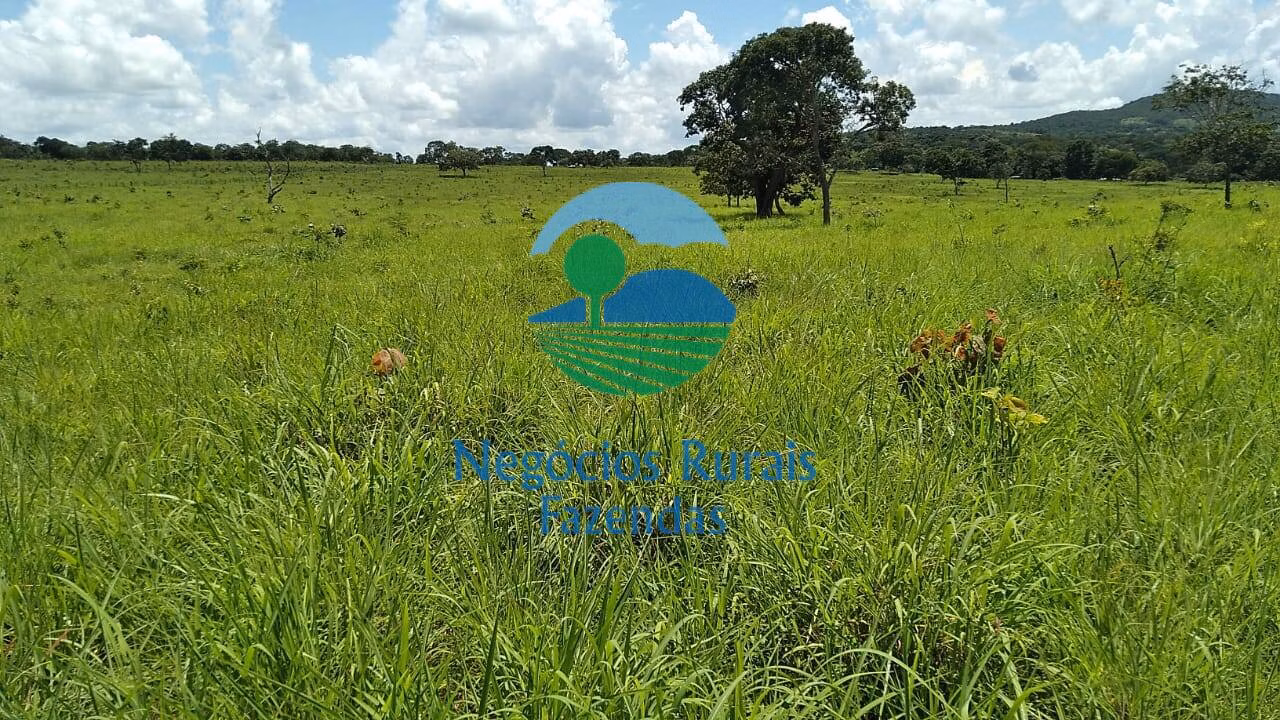 Small farm of 131 acres in Pirenópolis, GO, Brazil